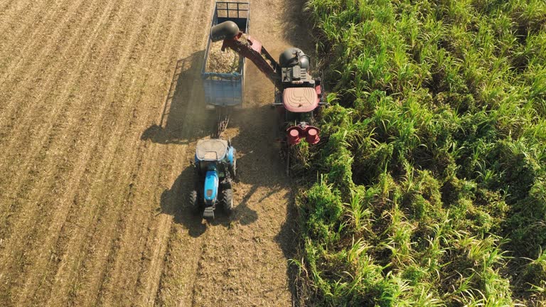 Aerial  Harvest for corn silage