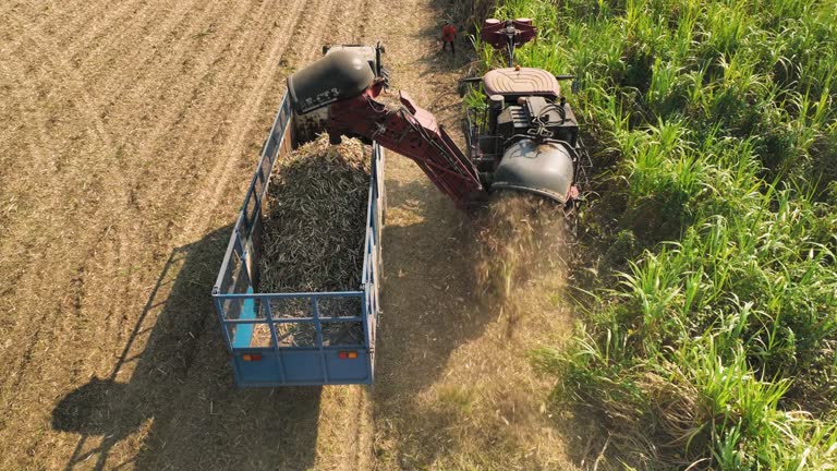 Aerial  Harvest for corn silage