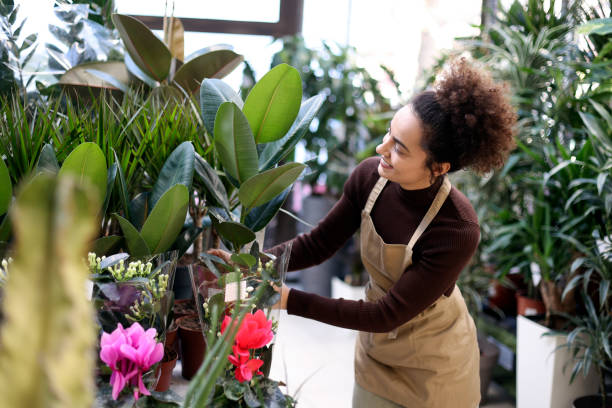 istock Young woman working in a greenhouse 1982680510