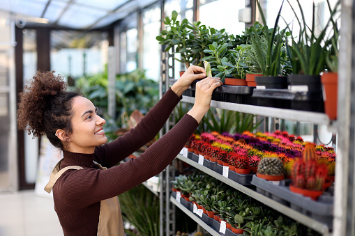 Young woman working in a garden center or a plant nursery. About 25 years old mixed-race female.