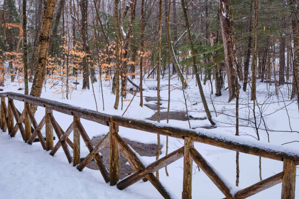 A snow covered log footbridge crosses a partially frozen creek in Gatineau Park, Quebec