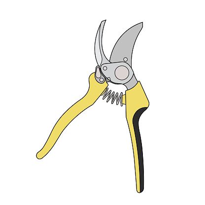 Kids drawing Cartoon Vector illustration pruning shears Isolated in doodle style