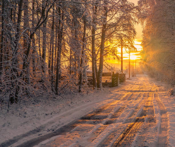 Winter time background