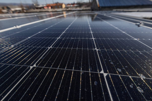 istock Green and clean energy power 1982729093