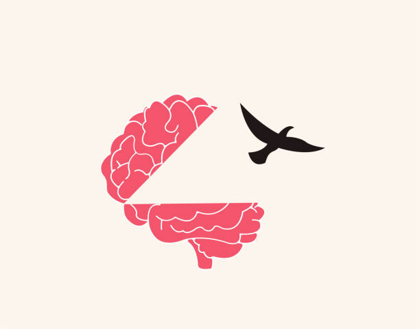 freedom of expression - bird brain stock illustrations