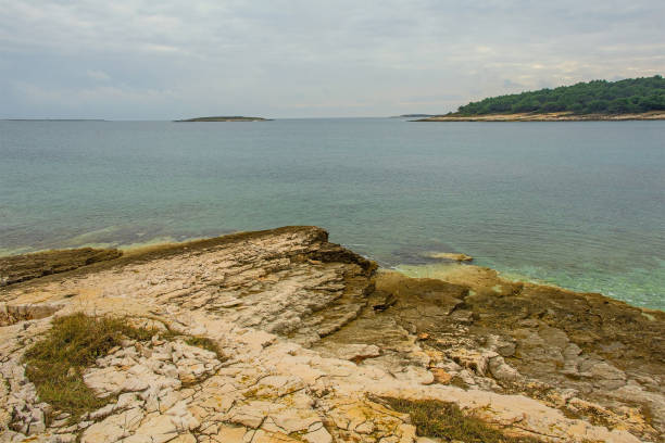 The rugged limestone landscape of the Kamenjak National Park on the Premantura peninsula in Medulin municipality, Istria, Croatia. December