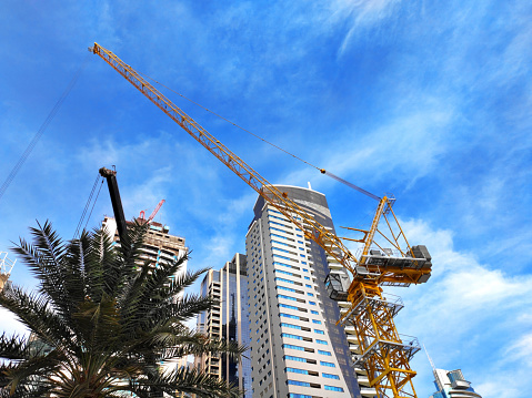 Dubai, UAE - January 25, 2024: New skyscrapers and construction crane in Marina district seen from Marina promenade through palm trees. Swift urban development