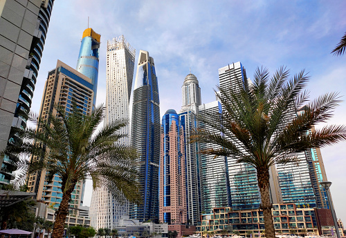 Dubai, UAE - January 25, 2024: Skyscrapers and palm trees in Marina Bay district seen from Marina promenade. Urban development. Famous Cayan and Princess Towers. Travel destination