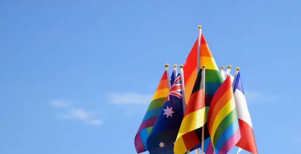 Rainbow flags and flags of many countries set in the middle of the park, concept for celebration of lgbtq+ genders in pride month around the world, soft and selective focus.