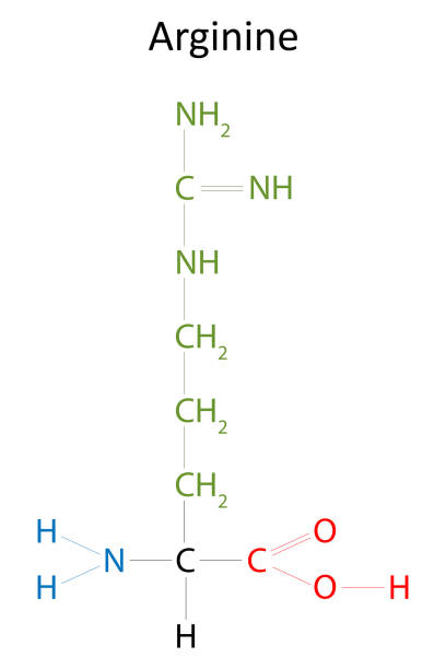 struktura chemiczna argininy. - molecule amino acid arginine molecular structure stock illustrations