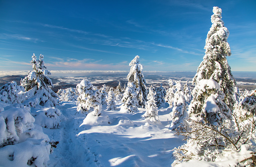 winter landscape view from Jizerské Hory or Jizera mountains, snow cowered woodland, Czech Republic