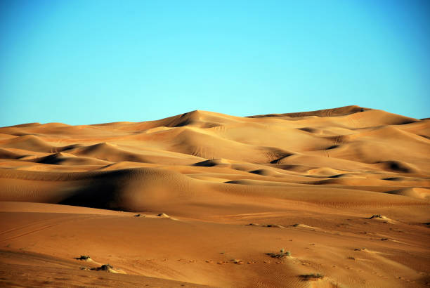 istock Safari Sands Tapestry: Rusty Dunes Woven with Camel Steps, Tire Tracks, and Wind Whispers 1982888797