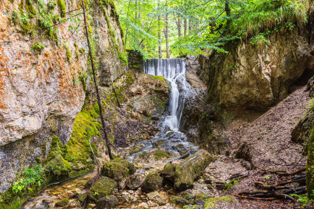 istock Brook Lainbach near Mittenwald in Bavaria, Germany 1982907234