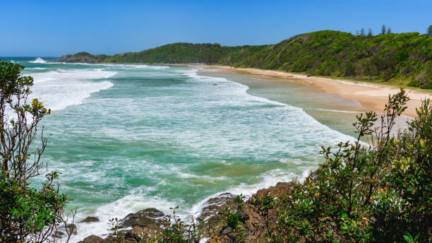 istock Australian coast with a long beach along the coast, view from a cliff on the seaside landscape. Strongly foamy water in windy weather. 1982907762