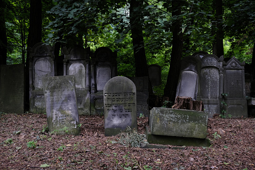 Warsaw, Poland - August 7, 2023. Graves on the Jewish Cemetery located at Okopowa Street in Wola district of Warsaw, Poland