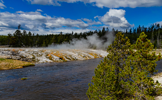 River with warm water in the valley of the Yellowstone National Park, Wyoming USA