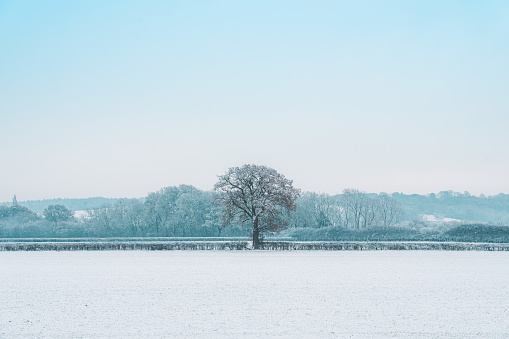 A cold morning with the first snow layer of the season