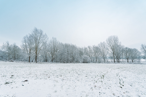 A cold morning with the first snow layer of the season