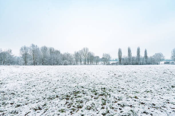 A cold morning with the first snow layer of the season