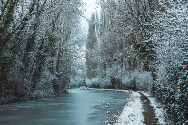 icy river Chemnitz in winter in the city of Chemnitz (park Stadtpark)