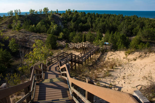 istock Indiana Dunes NP - Dune Succession Trail - Long Way Down 1982985627