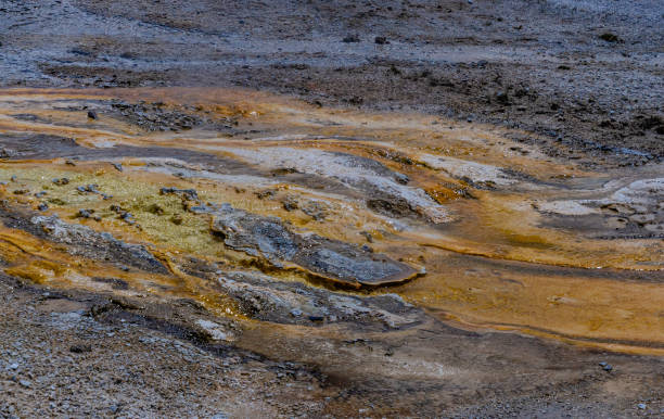 istock Algae-bacterial mats. Hot thermal spring, hot pool in the Yellowstone NP. Wyoming, US 1982990420