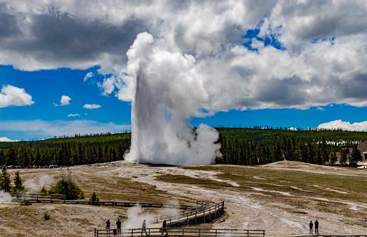 Geyser Old Faithful erupts in Yellowstone National Park in Wyoming, USA