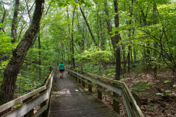 istock Indiana Dunes NP - Walking the Calumet Trail Horizontal 1982996688