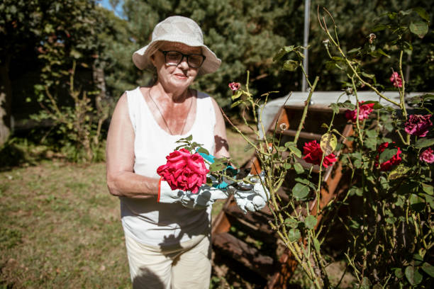 istock Granny enjoys gardening in the back yard 1983003459