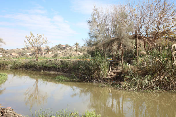 Plantations and Stream in a Village