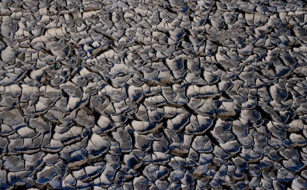 A pattern on dried silt. Dry land in the desert, Utah USA