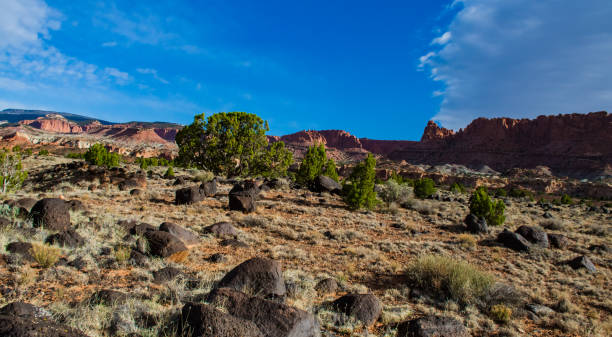 istock Volcanic bombs, molten lava from an ancient volcano, CANYONLANDS, Utah, US 1983056730
