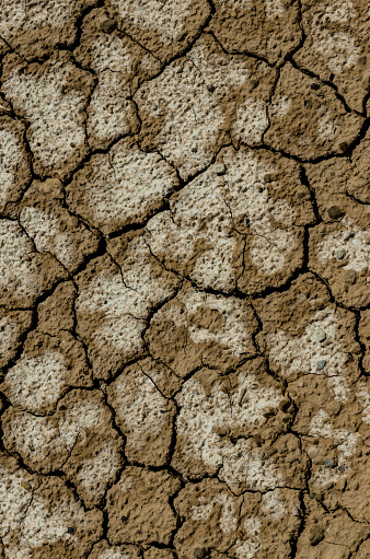 A pattern on dried silt. Dry land in the desert, Utah USA