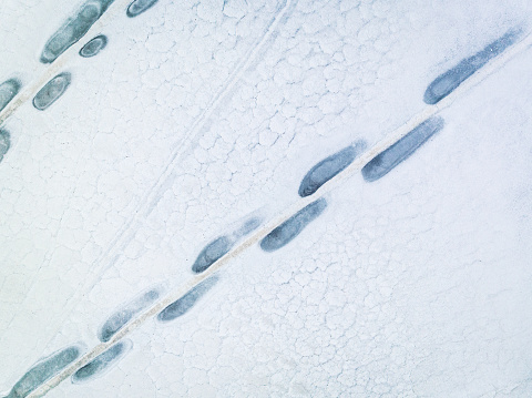 Aerial view of alien-like patterns in the Peñahueca Lagoon, a hypersaline wetland in the province of Toledo.