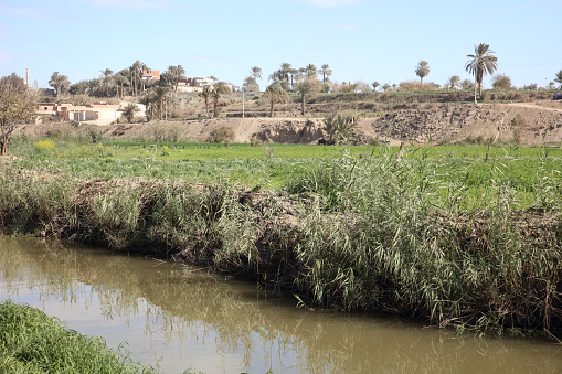 stream, water, plantations in a village