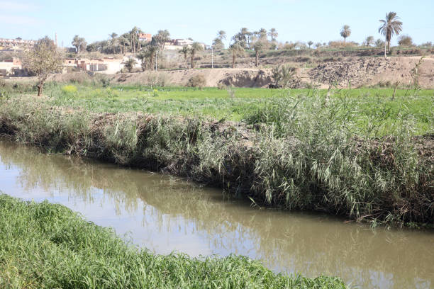 istock stream, water, plantations in a village 1983157270