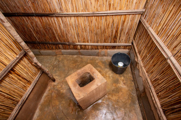 istock An improved reed toilet with a raised cement pit latrine in a backyard in Africa 1983160832