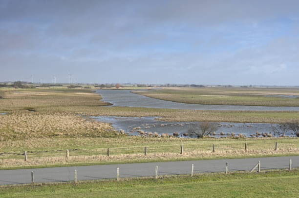 istock Nature reserve in Schleswig-Holstein 1983236635