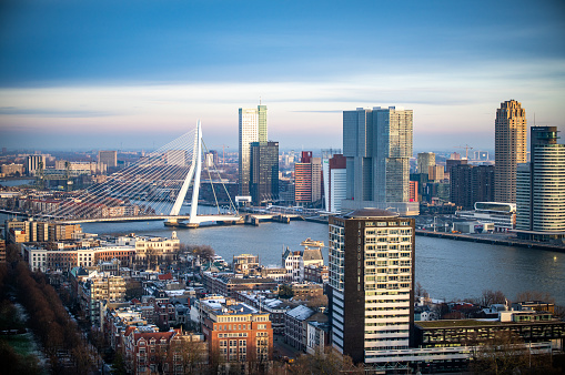 Aerial view of the city centre of Rotterdam at twilight with the city's corporate glass buildings and Erasmus Bridge
