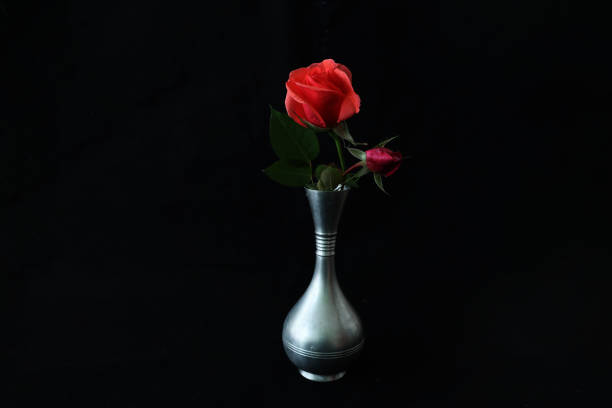 Red roses in a pewter vase isolated on a black background.