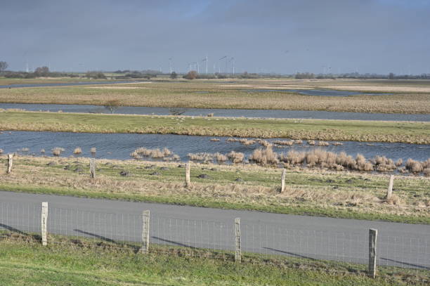 istock Nature reserve in Schleswig-Holstein 1983308246