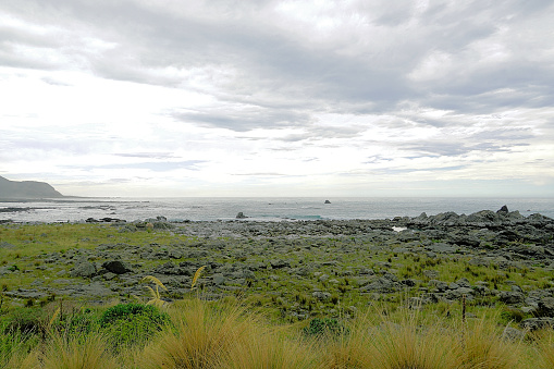 Scene Captured while traversing the Kaikoura Coastline on the South Island of New Zealand