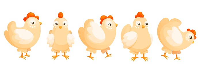 Cartoon domestic chicken in different poses, cute set. Collection of funny laying hens in different movements. Easter chicken. Cute set of farm chicken, poultry, for cards, designs and banners.