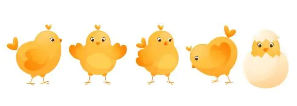 Vector illustration of Cute yellow chickens in different poses for Easter design.