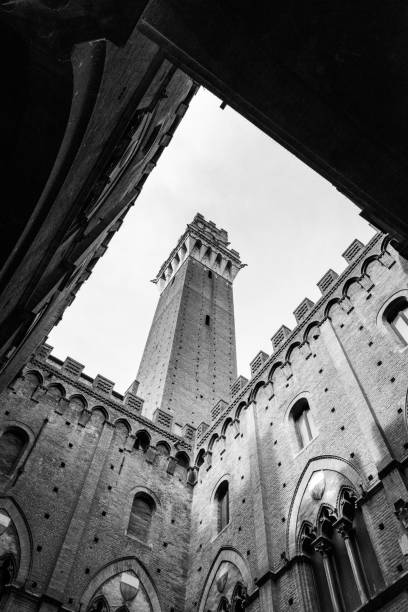 the courtyard of the palazzo pubblico in the center of siena - torre del mangia fotografías e imágenes de stock