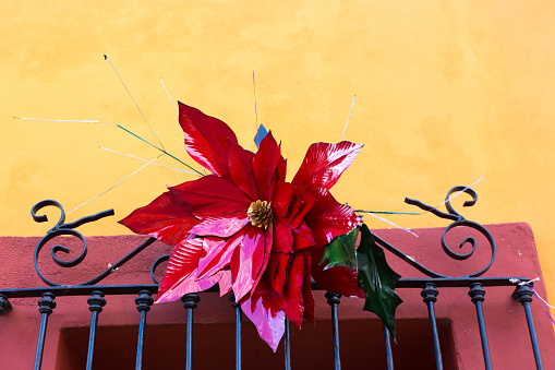 Oaxaca, Mexico: VIbrant Colonial Window with Christmas Decoration