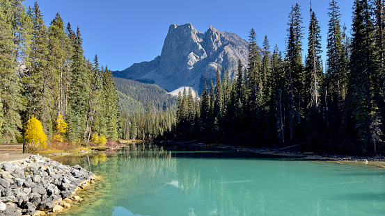 Mount Burgess towers above pines and the reflective green Emerald Lake in the Canadian Rockies
