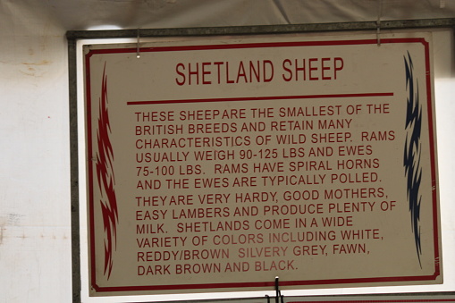 Shetland Sheep Sign.