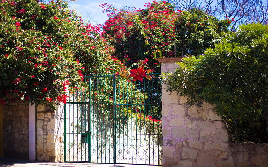 Oaxaca, Mexico: Wrought Iron Gate, Stone Wall, Bougainvillea