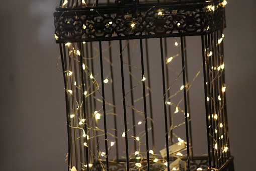 Birdcage with Lights illuminated.